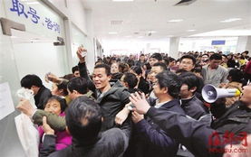 远智各种证件制作办理证件刻章网上申请：普通人也能搞定的专业指南